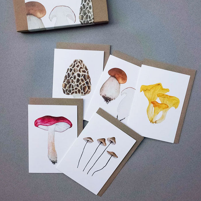 Æske m/ 5 dobbeltkort | Spiselige svampe