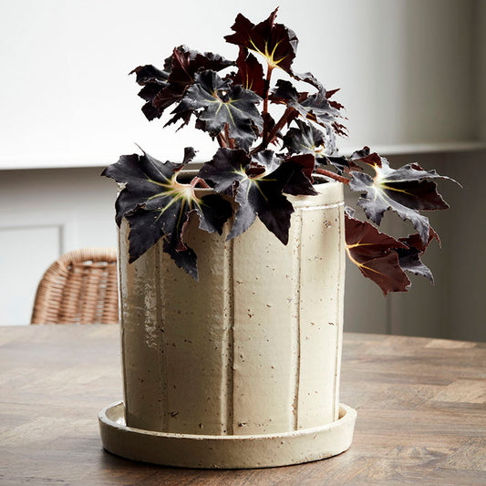 Stor urtepotte | Beige