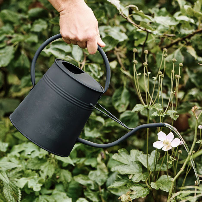 Lille vandkande 2,3L | Mat sort