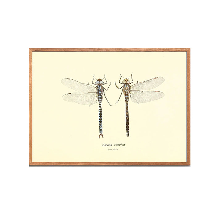 Naturplakat no. 4 | 30x40