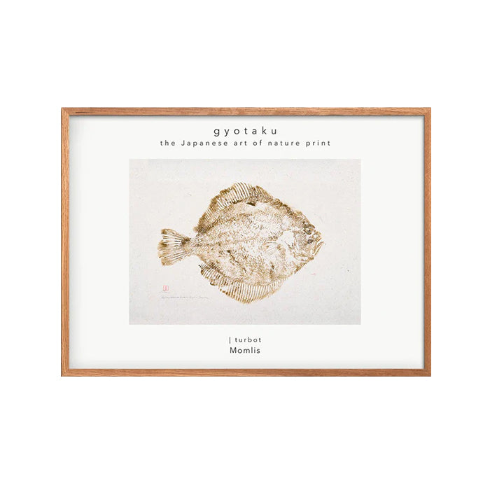 Fiskeplakat “Turbot” | 30x40