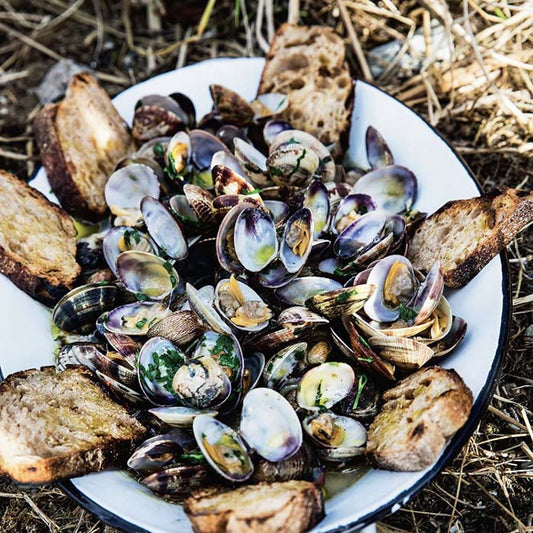 Walk on the wild side