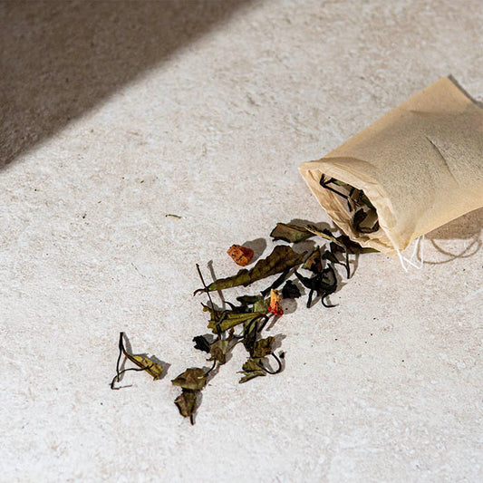 Paper Tea Filters