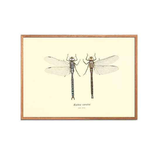 Naturplakat no. 4 | 30x40