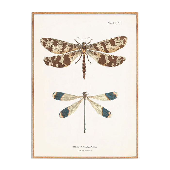 Naturplakat no. 1 | 50x70