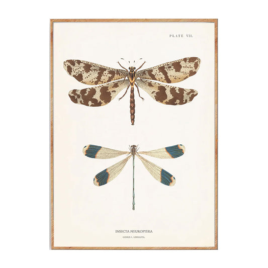 Naturplakat no. 1 | 50x70