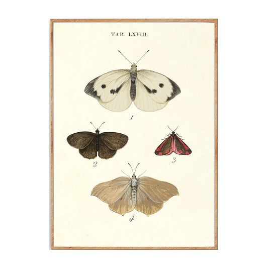 Naturplakat no. 3 | 50x70