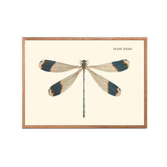 Naturplakat no. 5 | 30x40